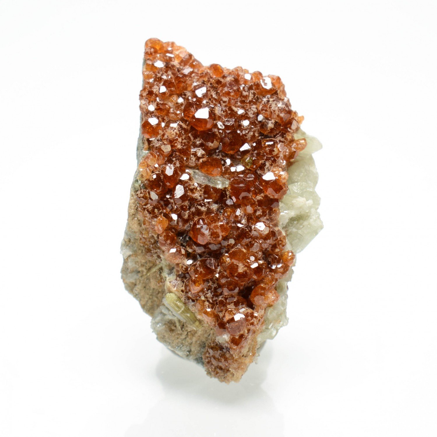 Grenat et diopside - Rodingites italiennes, Piémont/Vallée d'Aoste, Italie Grenat et diopside - Rodingites italiennes, Piémont/Vallée d'Aoste, Italie