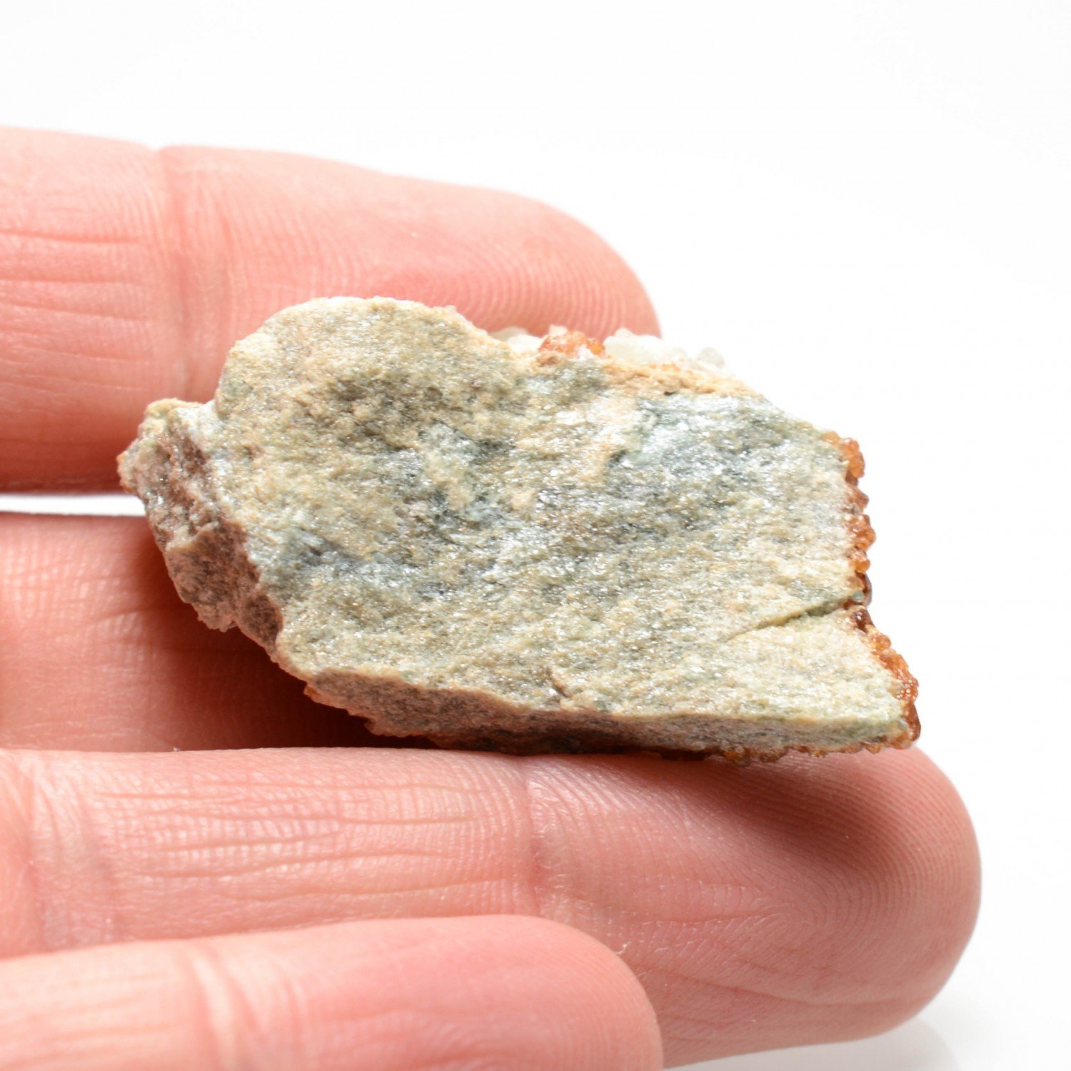 Grenat et diopside - Rodingites italiennes, Piémont/Vallée d'Aoste, Italie Grenat et diopside - Rodingites italiennes, Piémont/Vallée d'Aoste, Italie