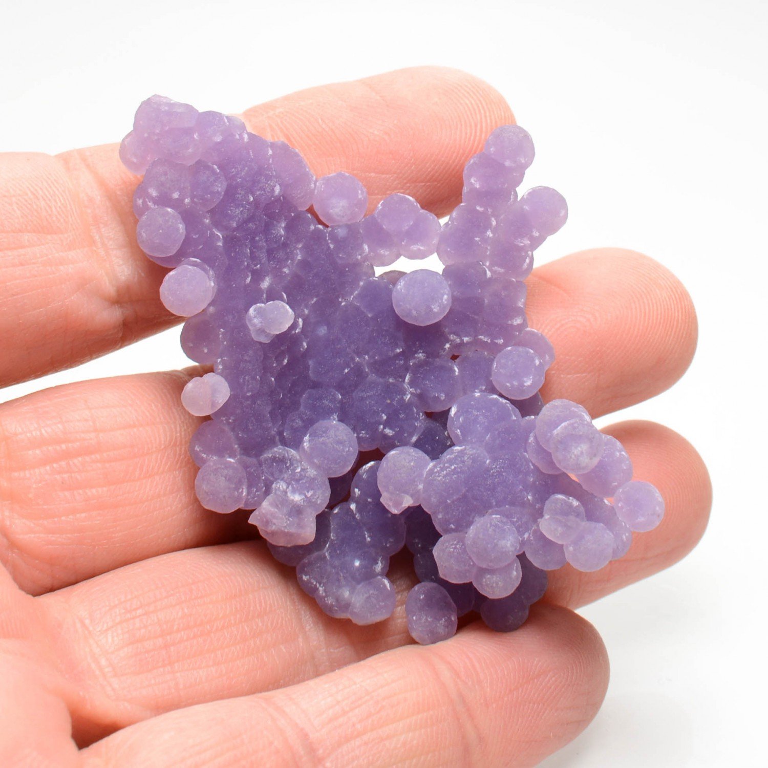 Agate grappe - Mamuju, Sulawesi, Indonesia