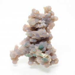 Agate grappe - Mamuju, Sulawesi, Indonesia