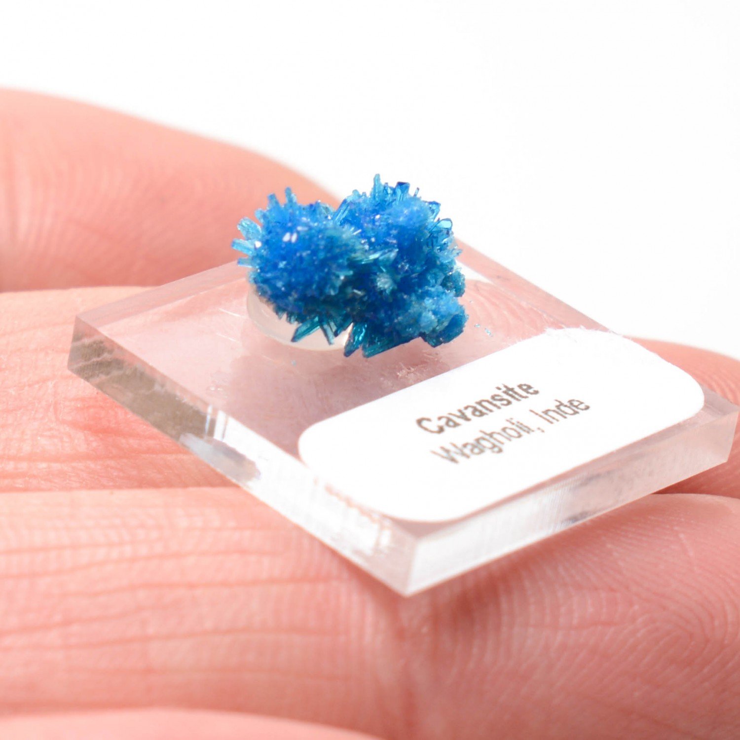 Cavansite - Carrières de Wagholi, district de Poona, Maharashtra, Inde