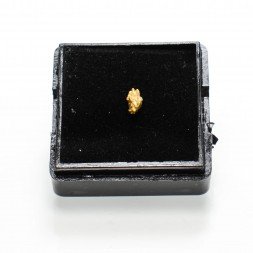 Native gold - Morbihan, France