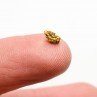 Native gold - Morbihan, France Native gold - Morbihan, France