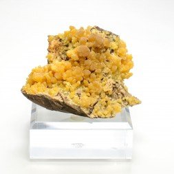 Mimétite - Mine El Potosi, Santa Eulalia, Mexique