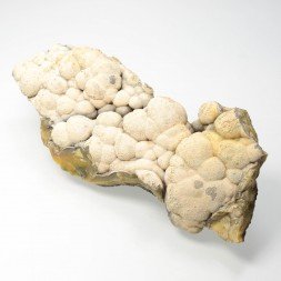 Pyromorphite - Sainte-Sévère, Indre, France