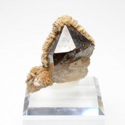 Smoky quartz and siderite - Col des cristaux, Mont-Blanc Massif, Haute-Savoie, France