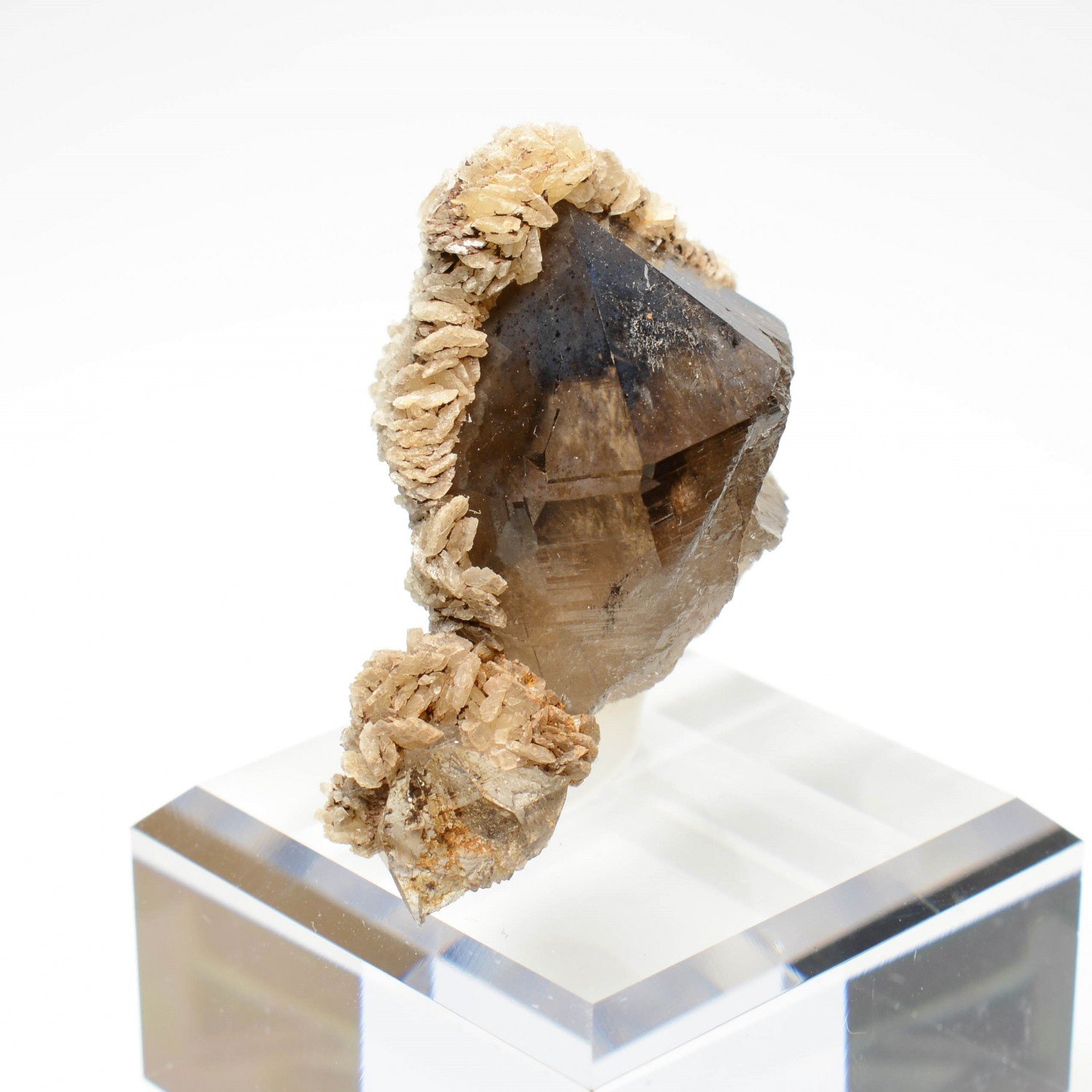 Smoky quartz and siderite - Col des cristaux, Mont-Blanc Massif, Haute-Savoie, France