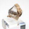 Smoky quartz and siderite - Col des cristaux, Mont-Blanc Massif, Haute-Savoie, France