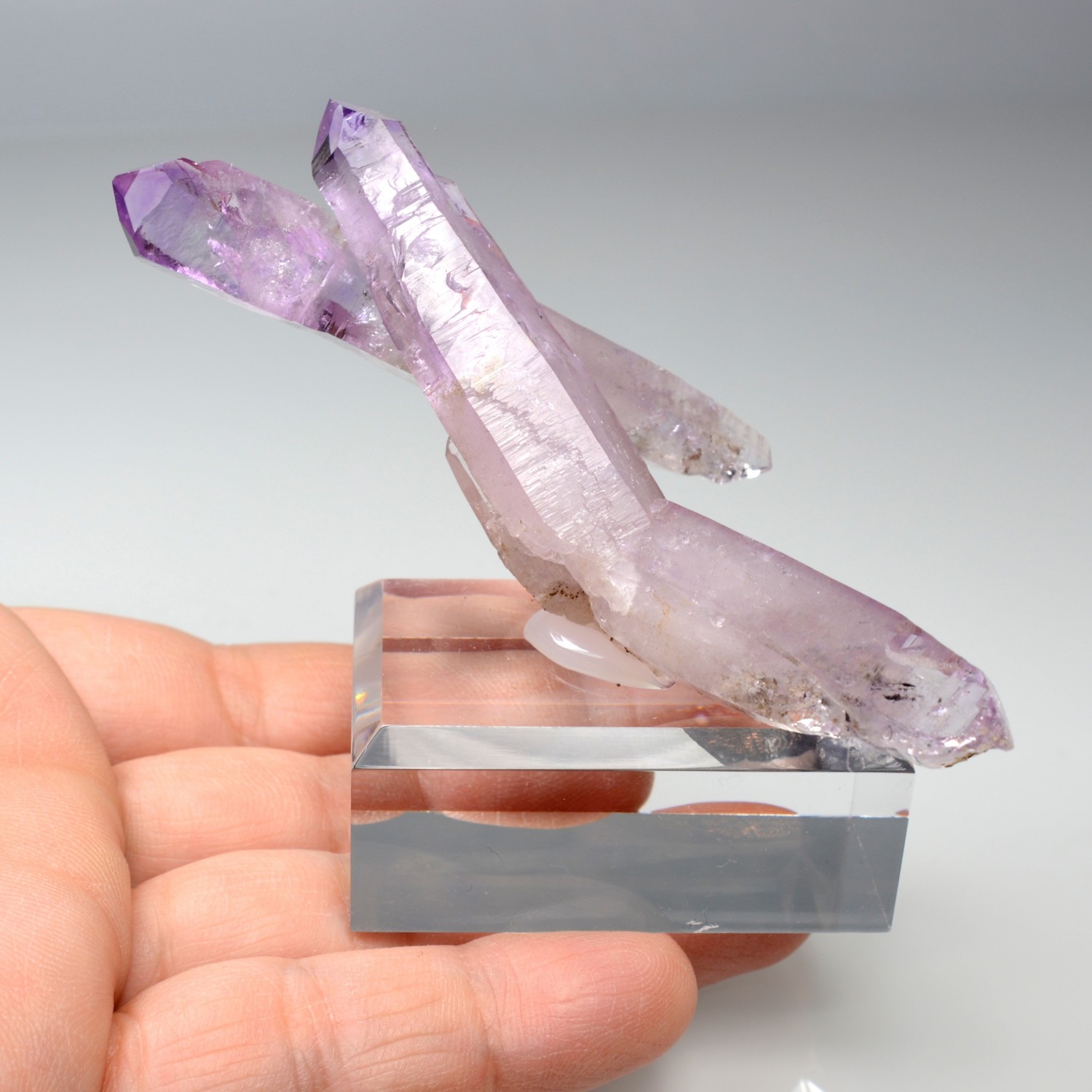 Améthyste - Piedra Parada, Veracruz, Mexique