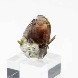 Axinite, epidote and byssolite - Saint-Christophe-en-Oisans, Isère, France