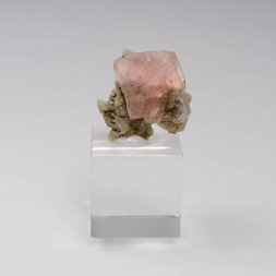 Fluorine rose - Face sud des Droites, Massif du Mont-Blanc, Haute-Savoie, France