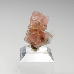 Fluorine rose - Face Sud des Droites, Massif du Mont-Blanc, Haute-Savoie, France