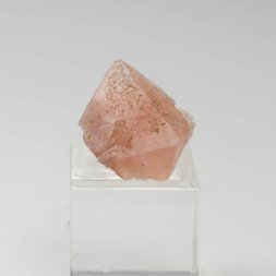 Fluorine rose - Face Sud des Droites, Massif du Mont-Blanc, Haute-Savoie, France