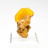 Wulfenite - San Carlos mine, Chihuahua, Mexico