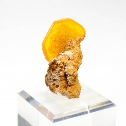 Wulfénite - Mine San Carlos, Chihuahua, Mexique