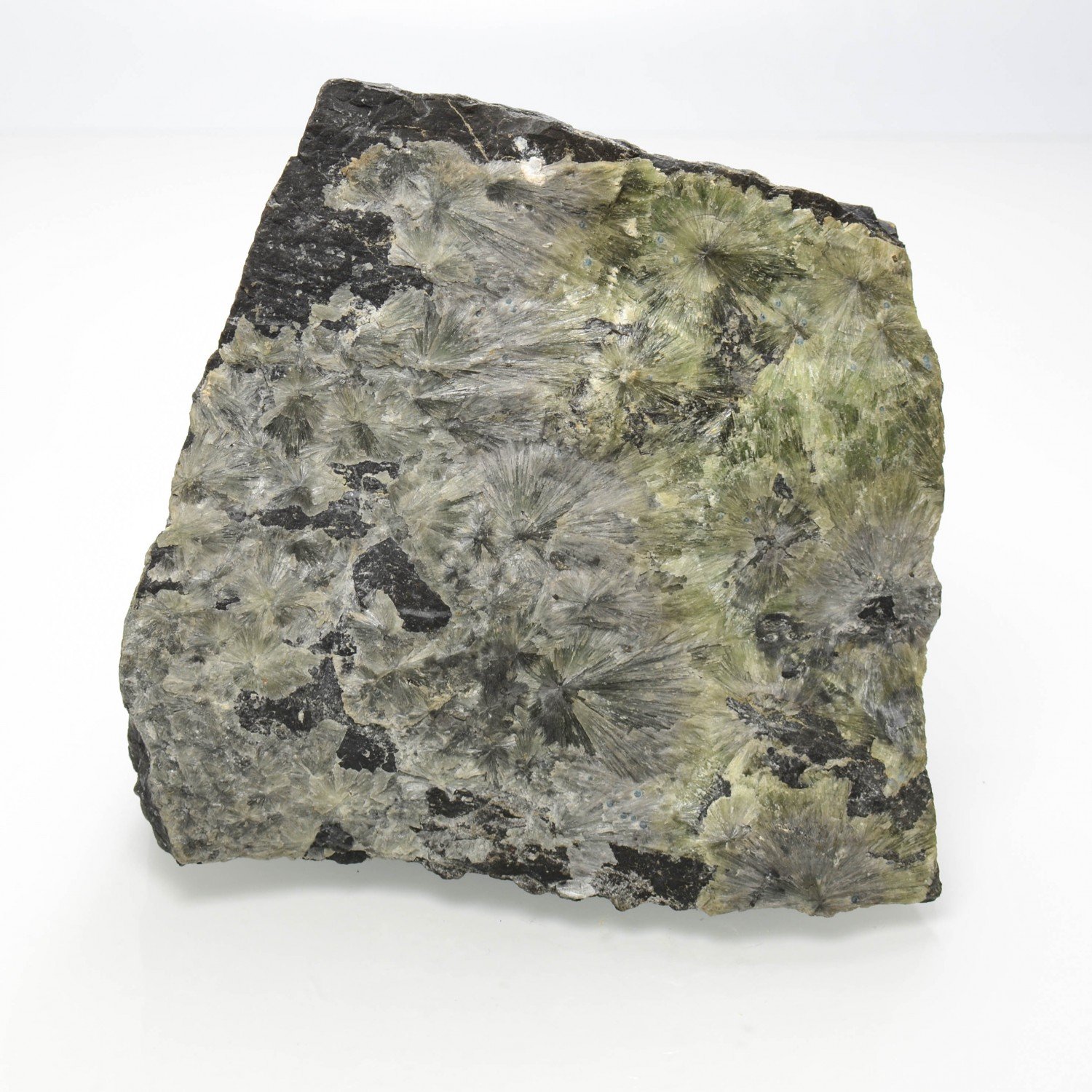 Minyulite (and blue variscite?) - La Floquerie quarry, Pannecé, Loire-Atlantique, France