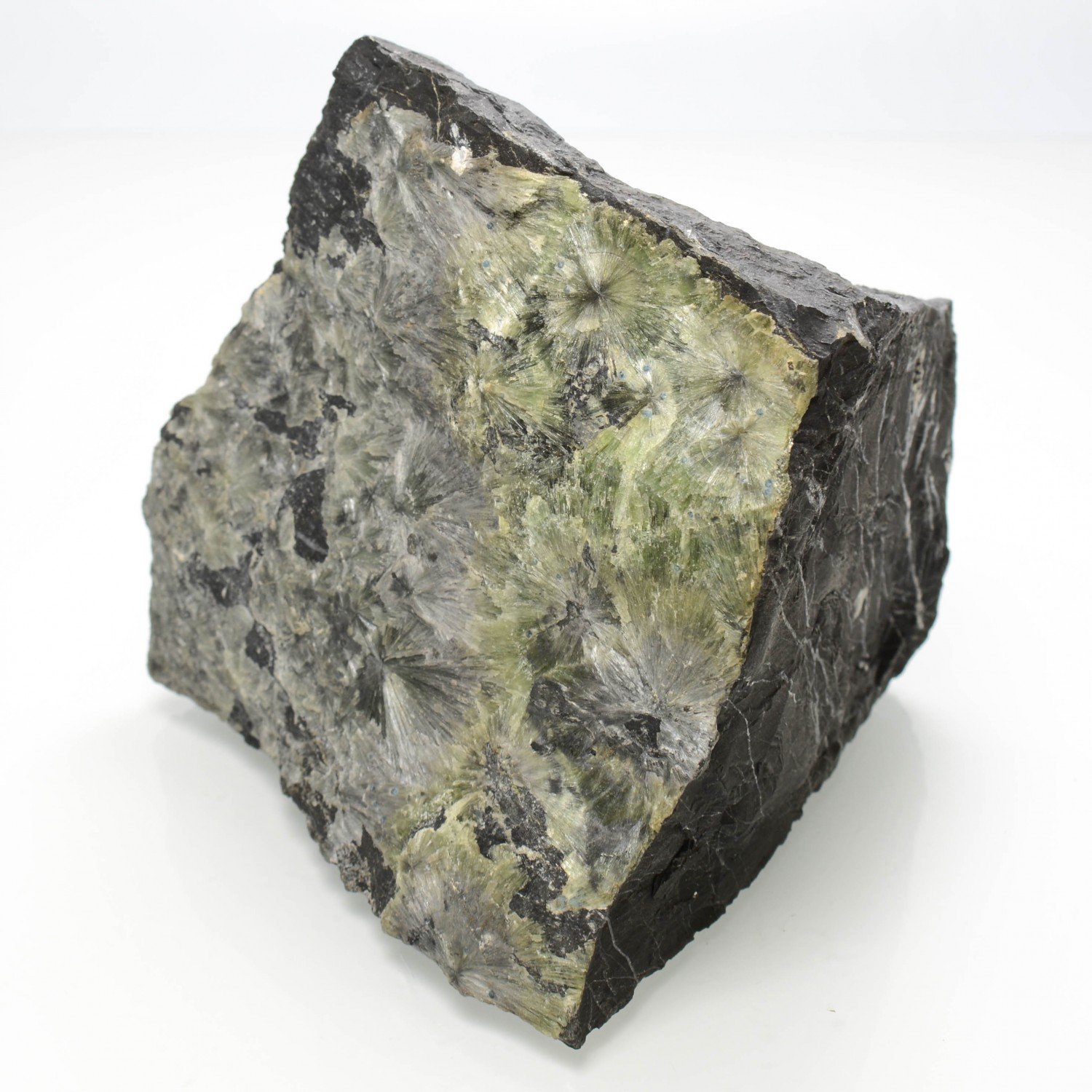 Minyulite (et variscite bleue?) - Carrière de La Floquerie, Pannecé, Loire-Atlantique, France Minyulite (et variscite bleue?) - Carrière de La Floquerie, Pannecé, Loire-Atlantique, France