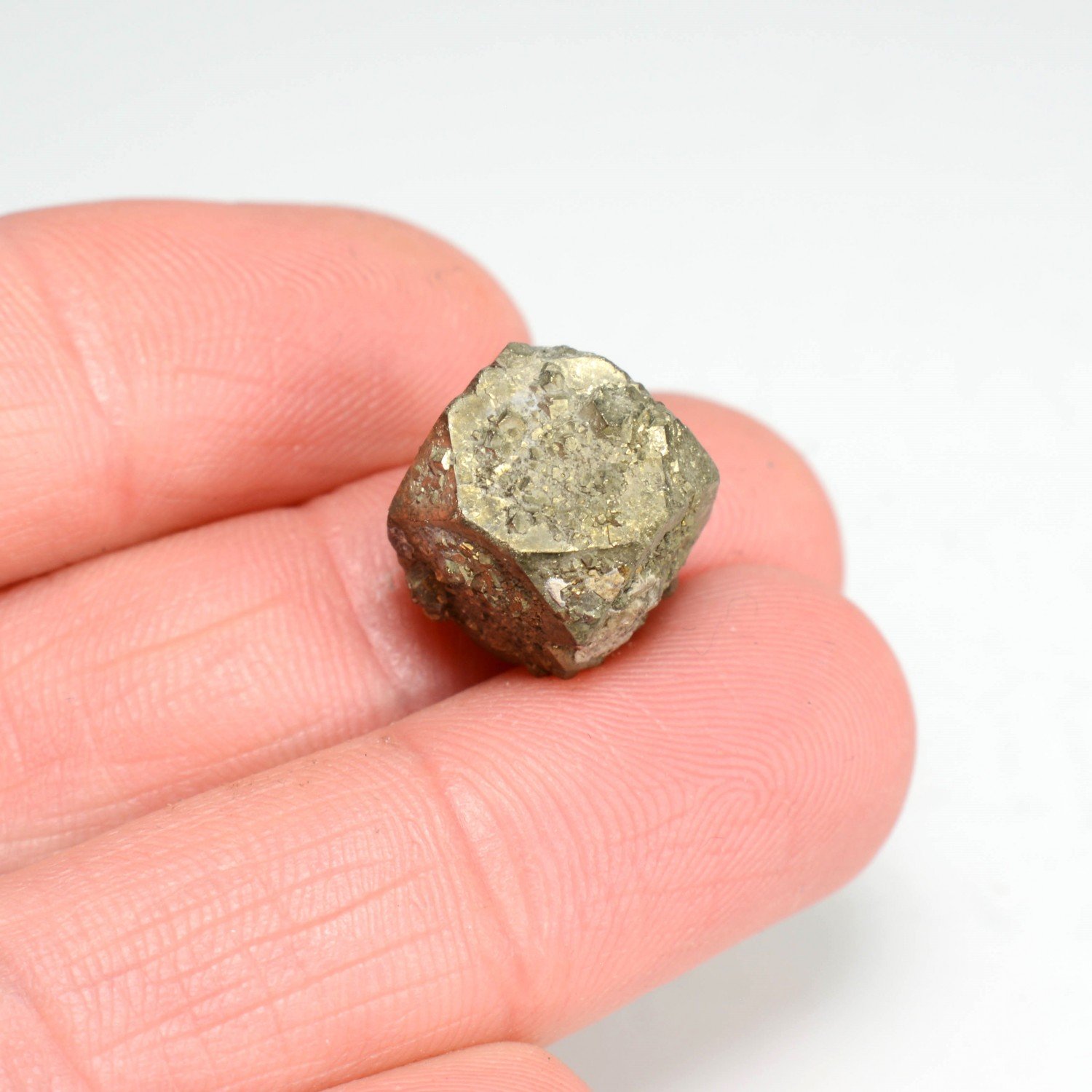 Pyrite - Verrières, Aveyron, France Pyrite - Verrières, Aveyron, France