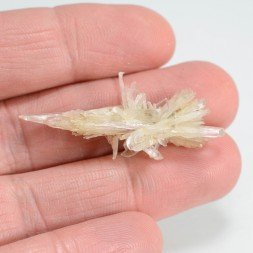 Gypsum - Angervilliers, Essonne, France