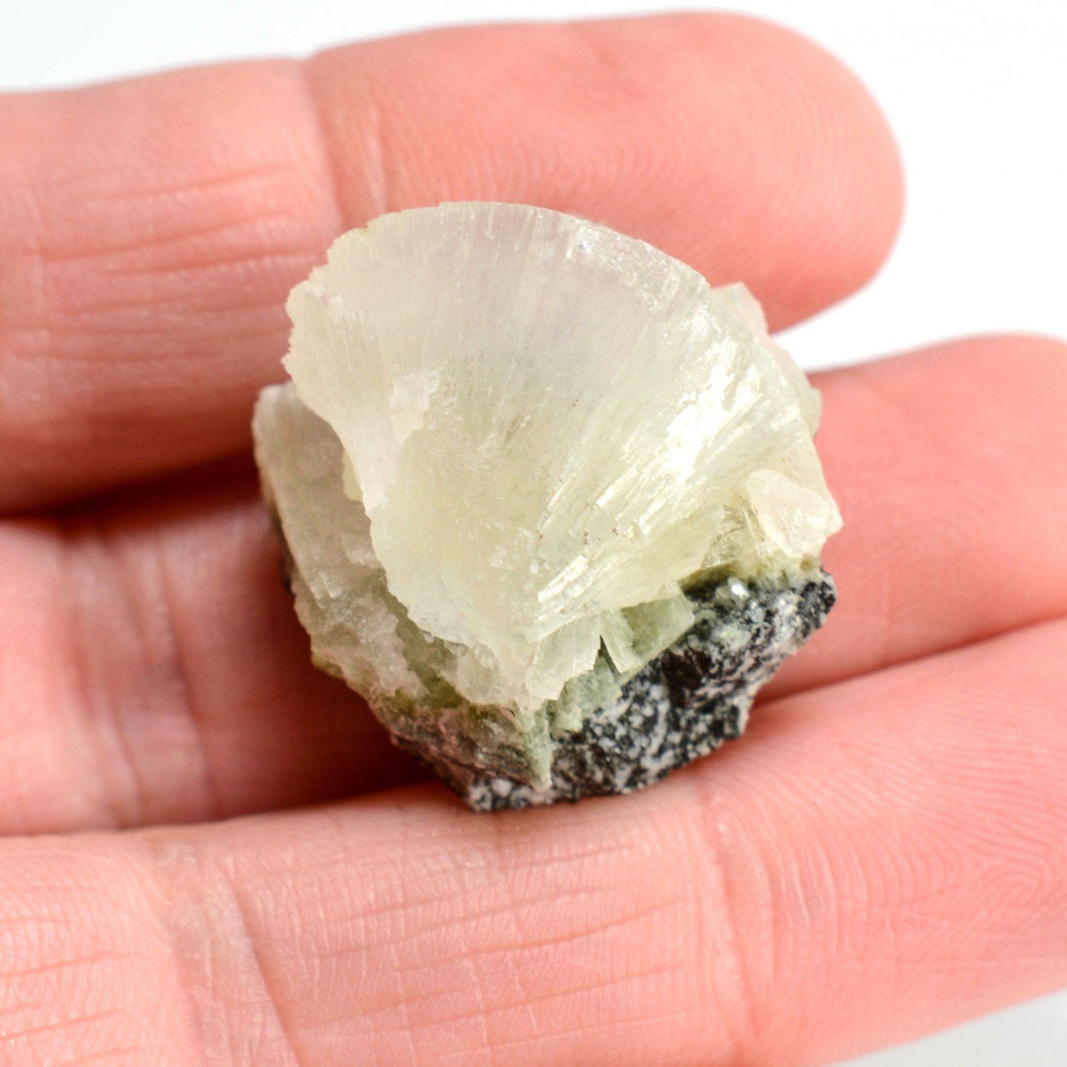 Prehnite - Saint-Christophe-en-Oisans, Isère, France