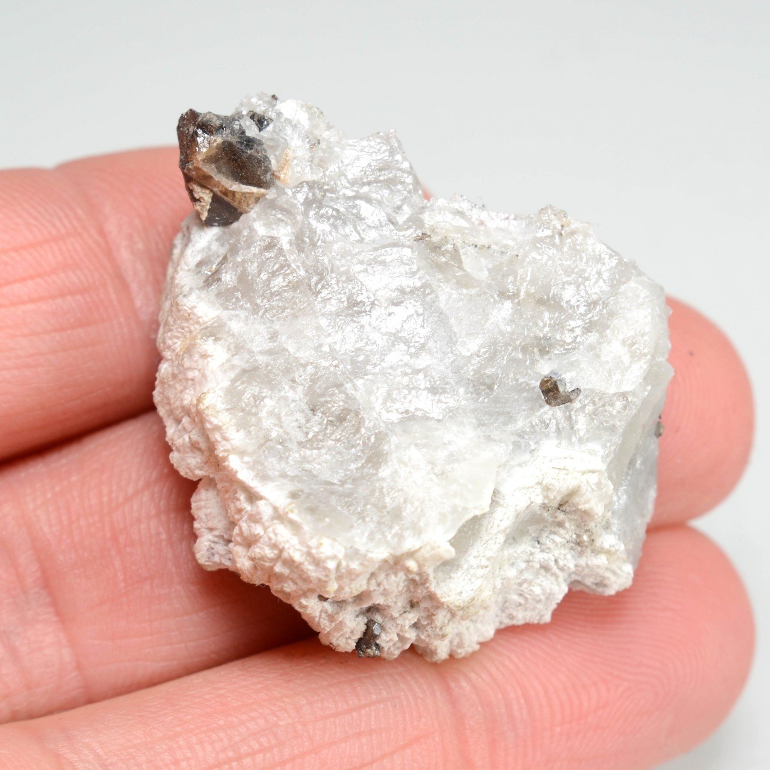 Cassiterite - La Villeder, Morbihan, France