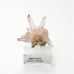 Améthyste - Piedra Parada, Veracruz, Mexique