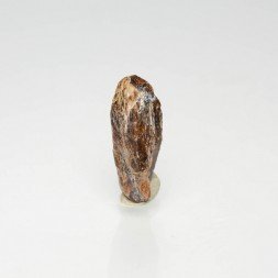 Xenotime - Novo Horizonte, Bahia, Brazil