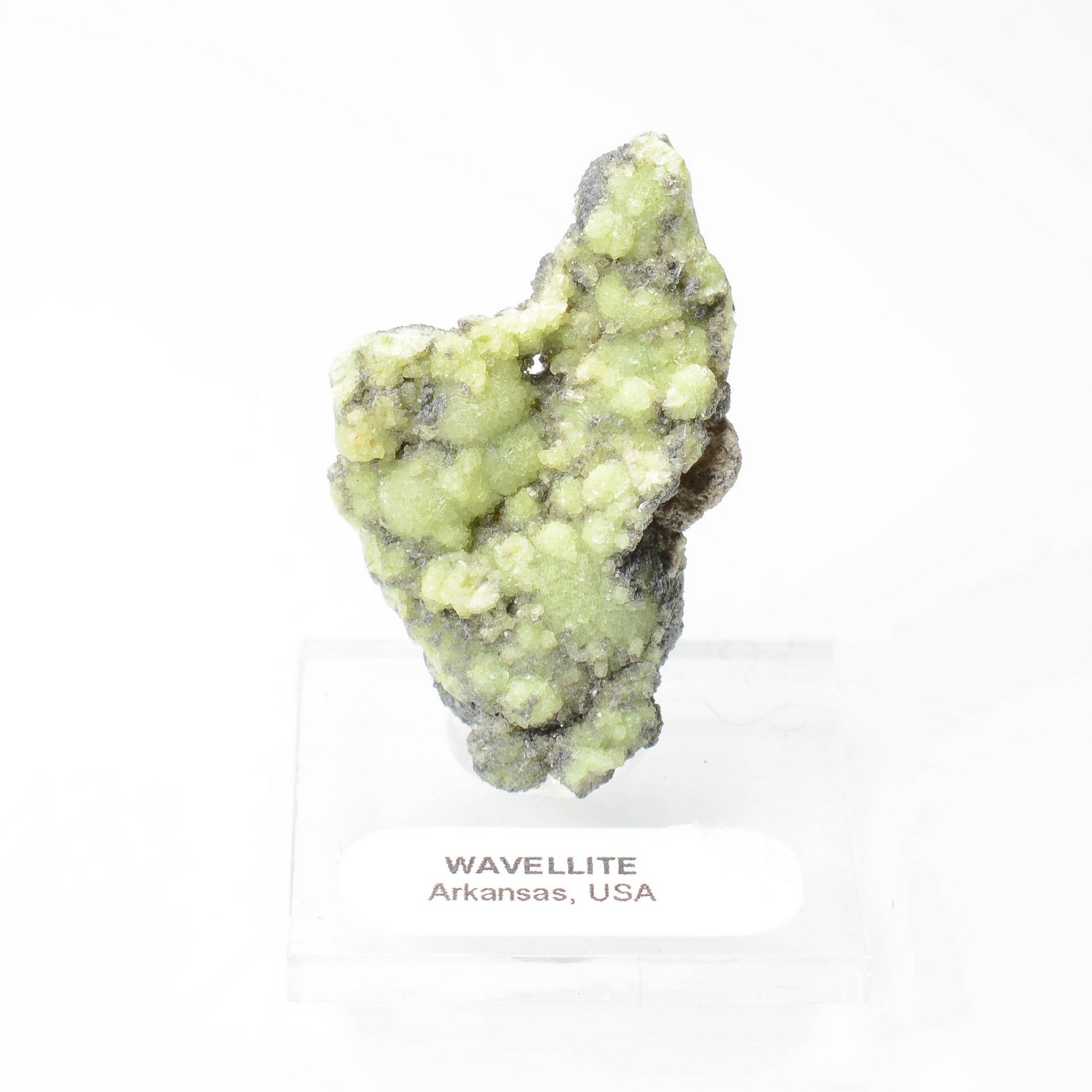 Wavellite - Mauldin, Arkansas, USA