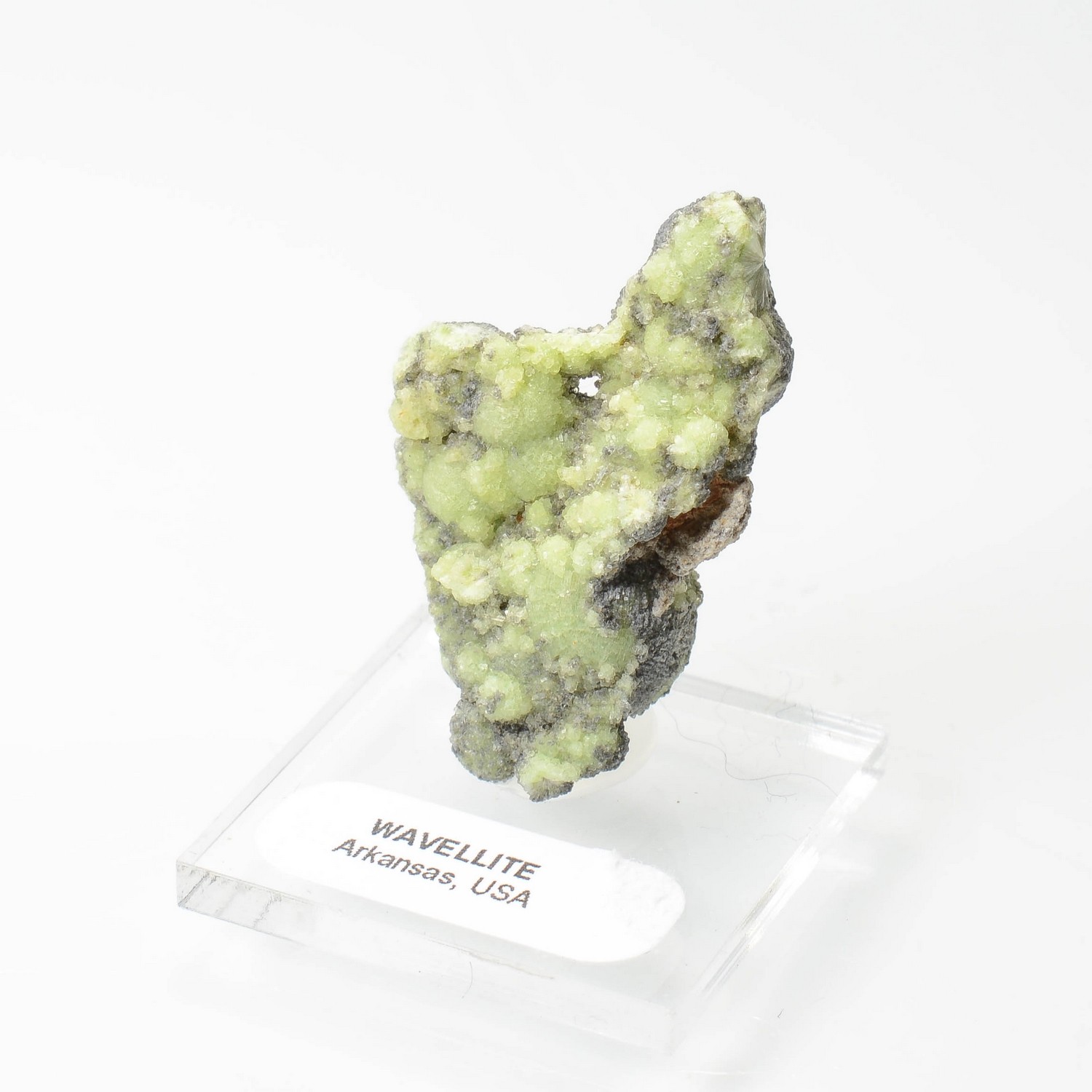 Wavellite - Mauldin, Arkansas, Etats-Unis