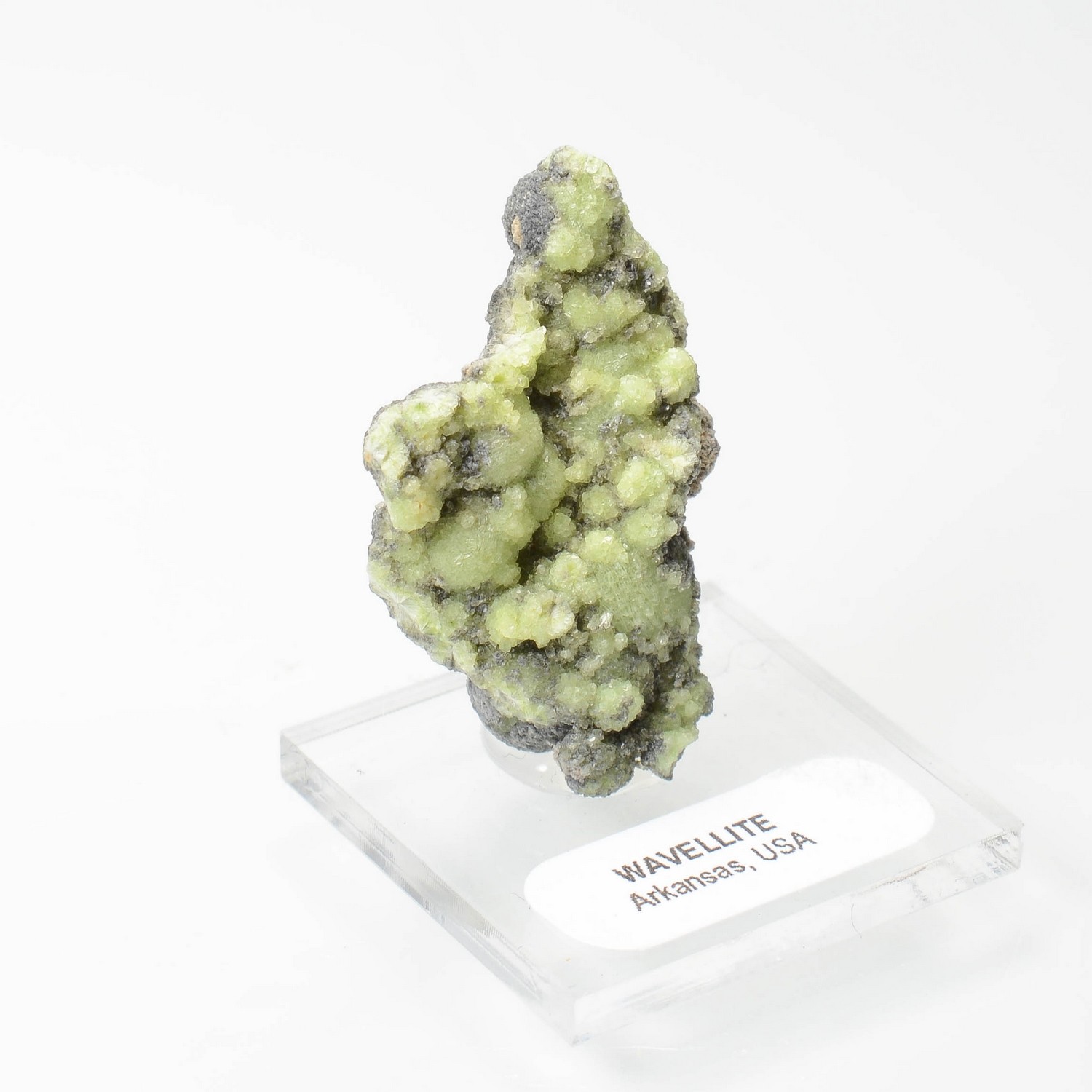 Wavellite - Mauldin, Arkansas, Etats-Unis