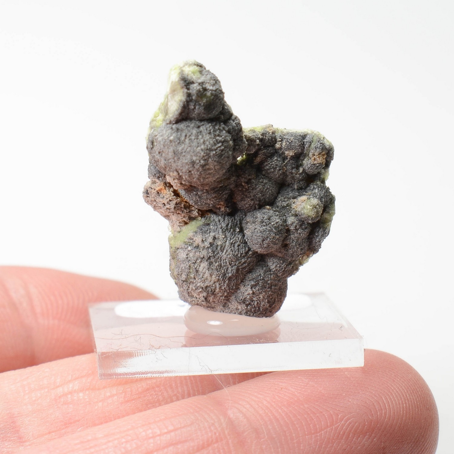 Wavellite - Mauldin, Arkansas, Etats-Unis