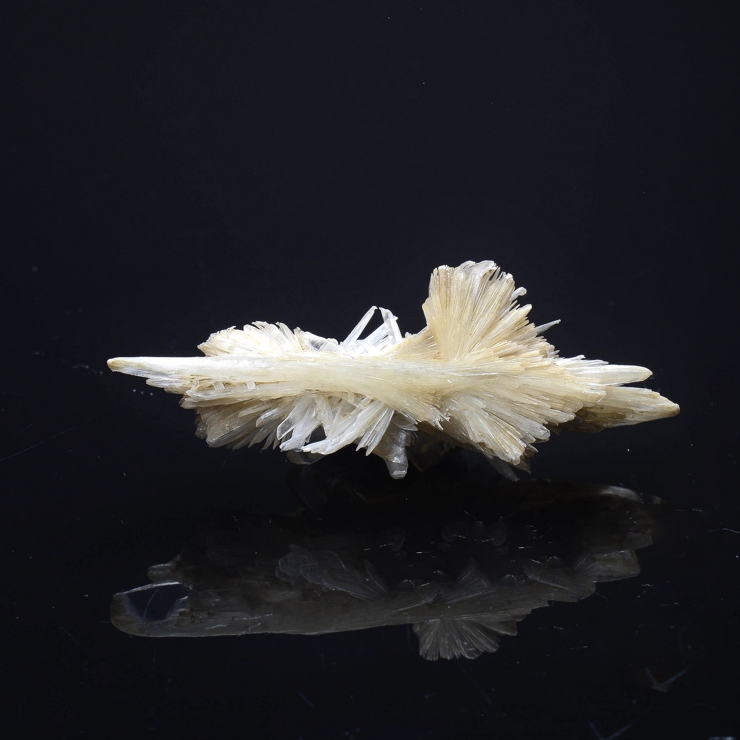 Gypsum - Angervilliers, Essonne, France