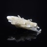 Gypsum - Angervilliers, Essonne, France