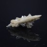 Gypsum - Angervilliers, Essonne, France