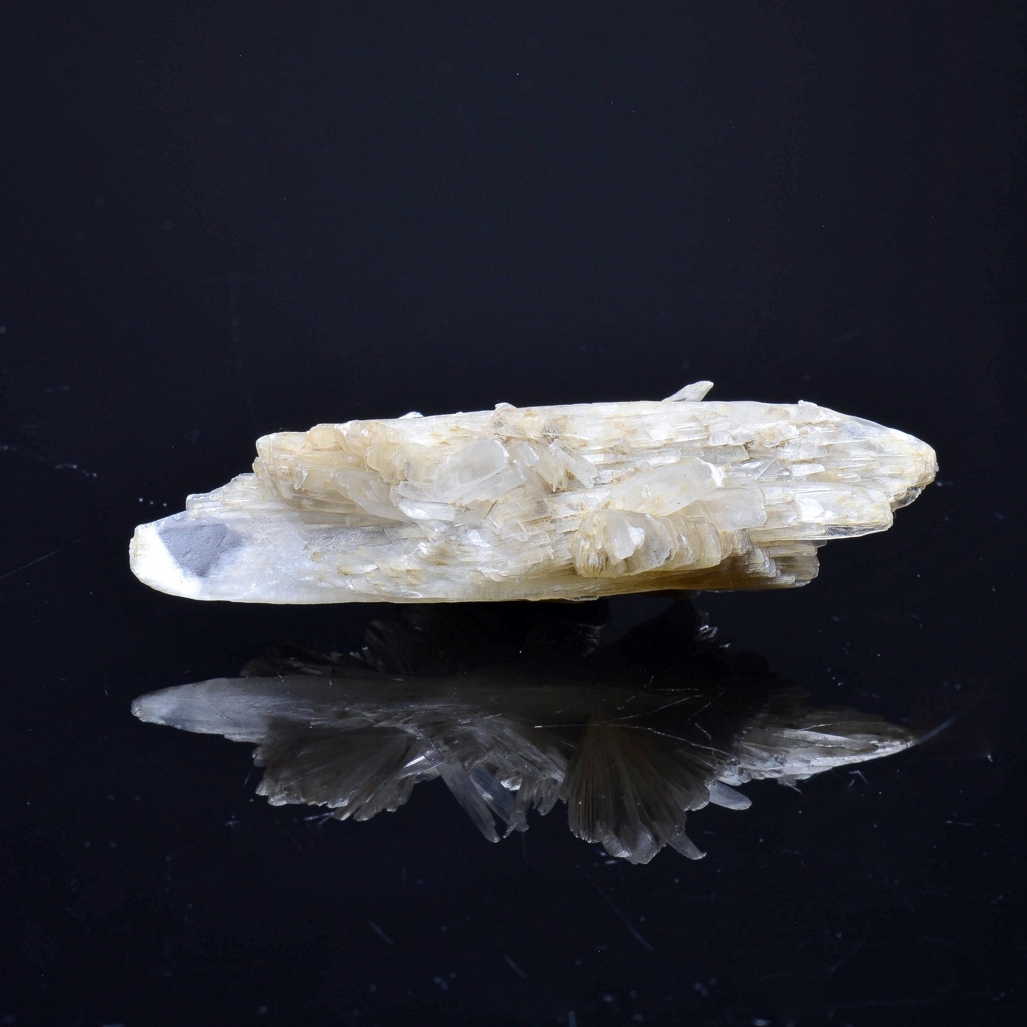 Gypsum - Angervilliers, Essonne, France