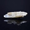 Gypsum - Angervilliers, Essonne, France