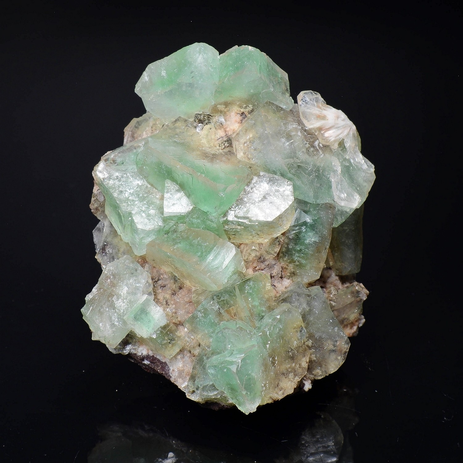 Apophyllite and mordenite - Nashik district, Maharashtra, India