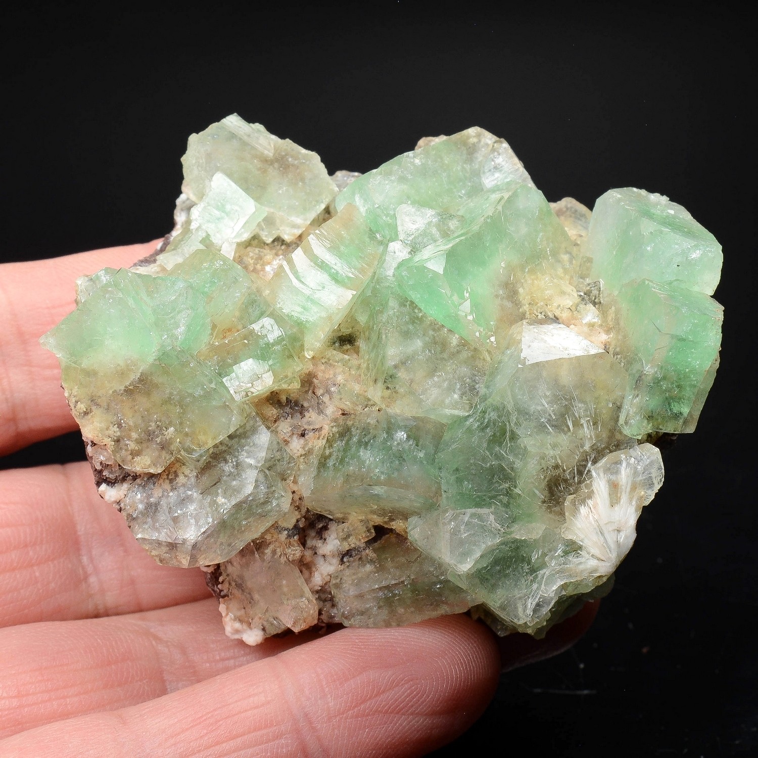 Apophyllite and mordenite - Nashik district, Maharashtra, India