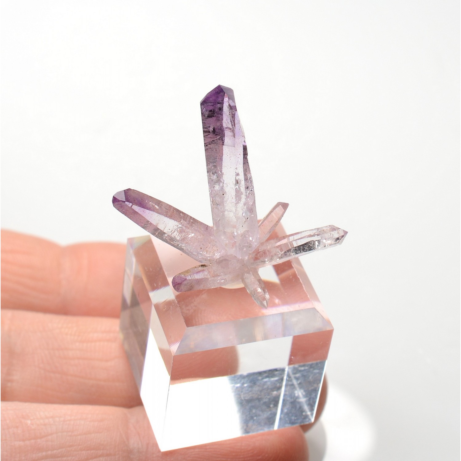 Amethyst - Piedra Parada, Veracruz, Mexico