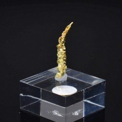 Gold crystallized on quartz - Aouint Ighoumane, Guelmim-Oued Noun region, Morocco