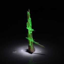 Opale hyalite sur rutile - Novo Horizonte, Bahia, Brésil