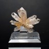 Quartz - Piedra Parada, Veracruz, Mexique