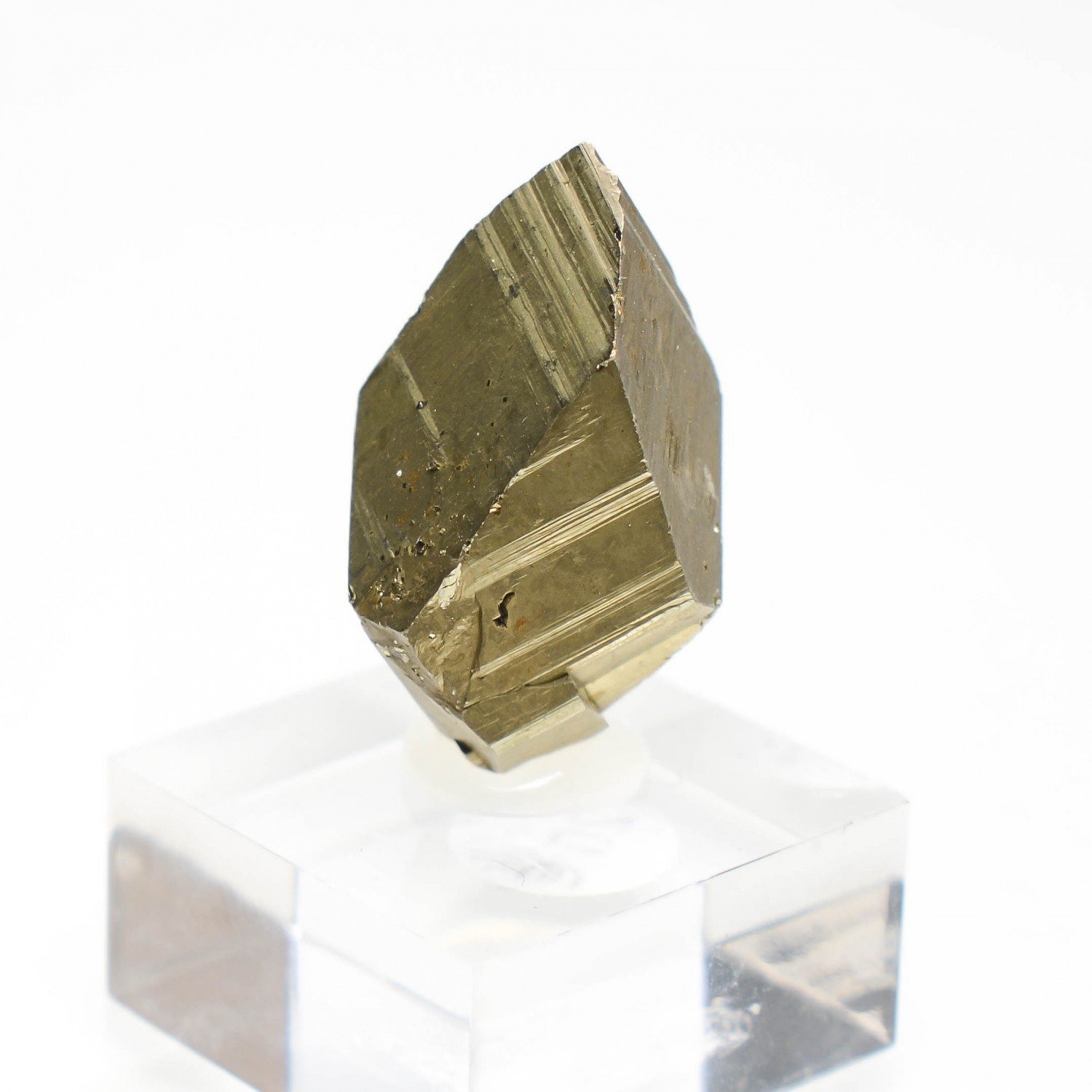 Pyrite - Mine Borieva, Madan, Bulgarie Pyrite - Mine Borieva, Madan, Bulgarie