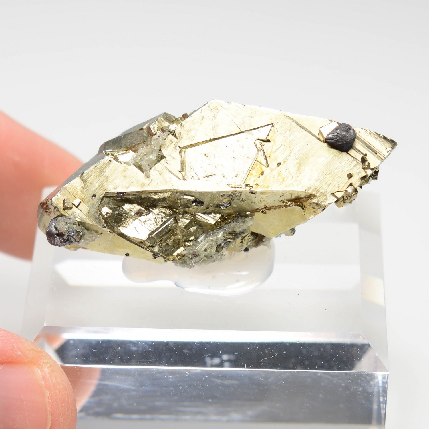 Pyrite - Mine Borieva, Madan, Bulgarie