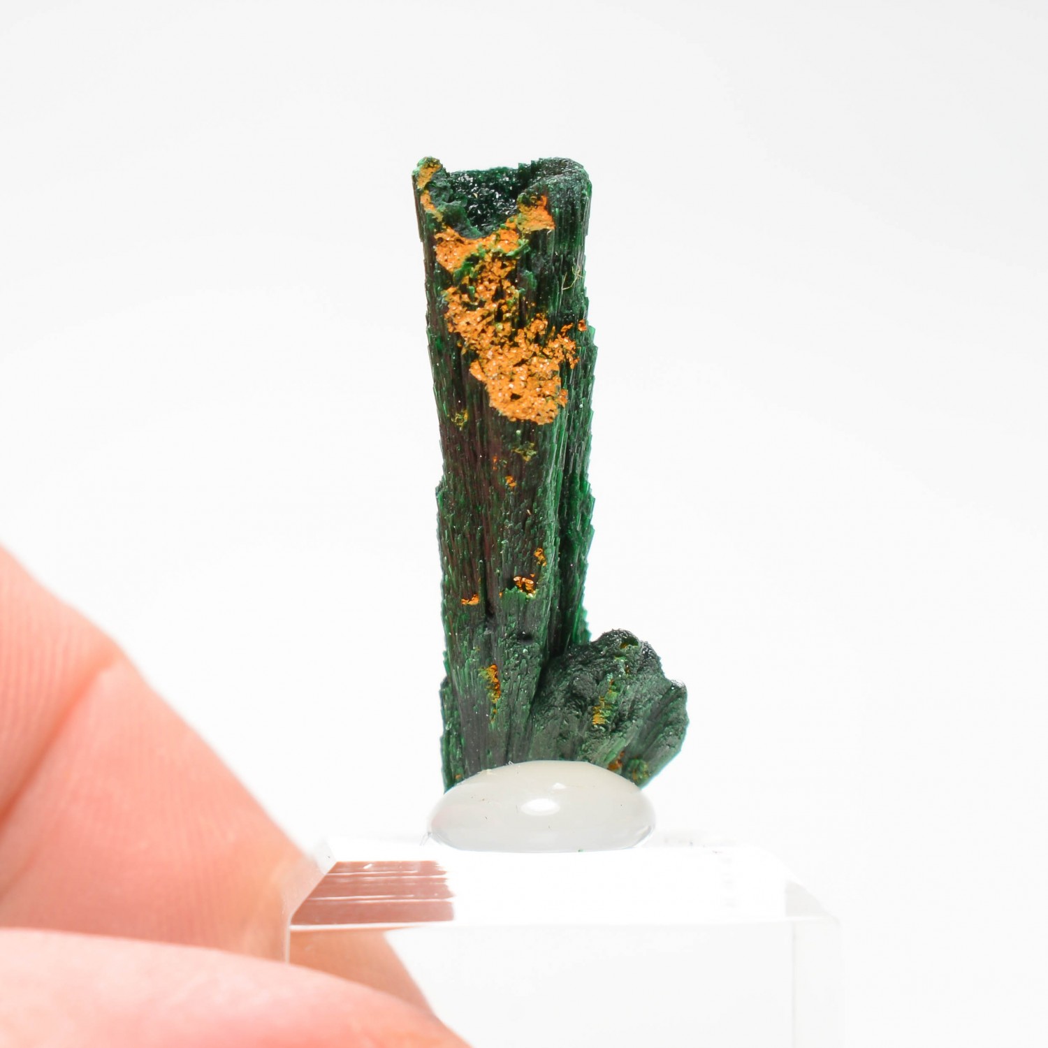 Malachite - Kerrouchen, Maroc