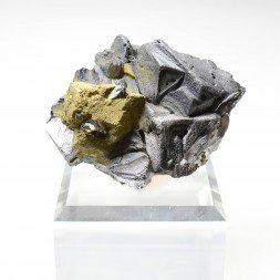 Galena and chalcopyrite - Borieva mine, Madan, Bulgaria