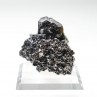 Sphalerite and galena - Borieva mine, Madan, Bulgaria