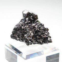 Sphalérite et galène - Mine Borieva, Madan, Bulgarie