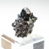 Sphalerite and galena - Borieva mine, Madan, Bulgaria