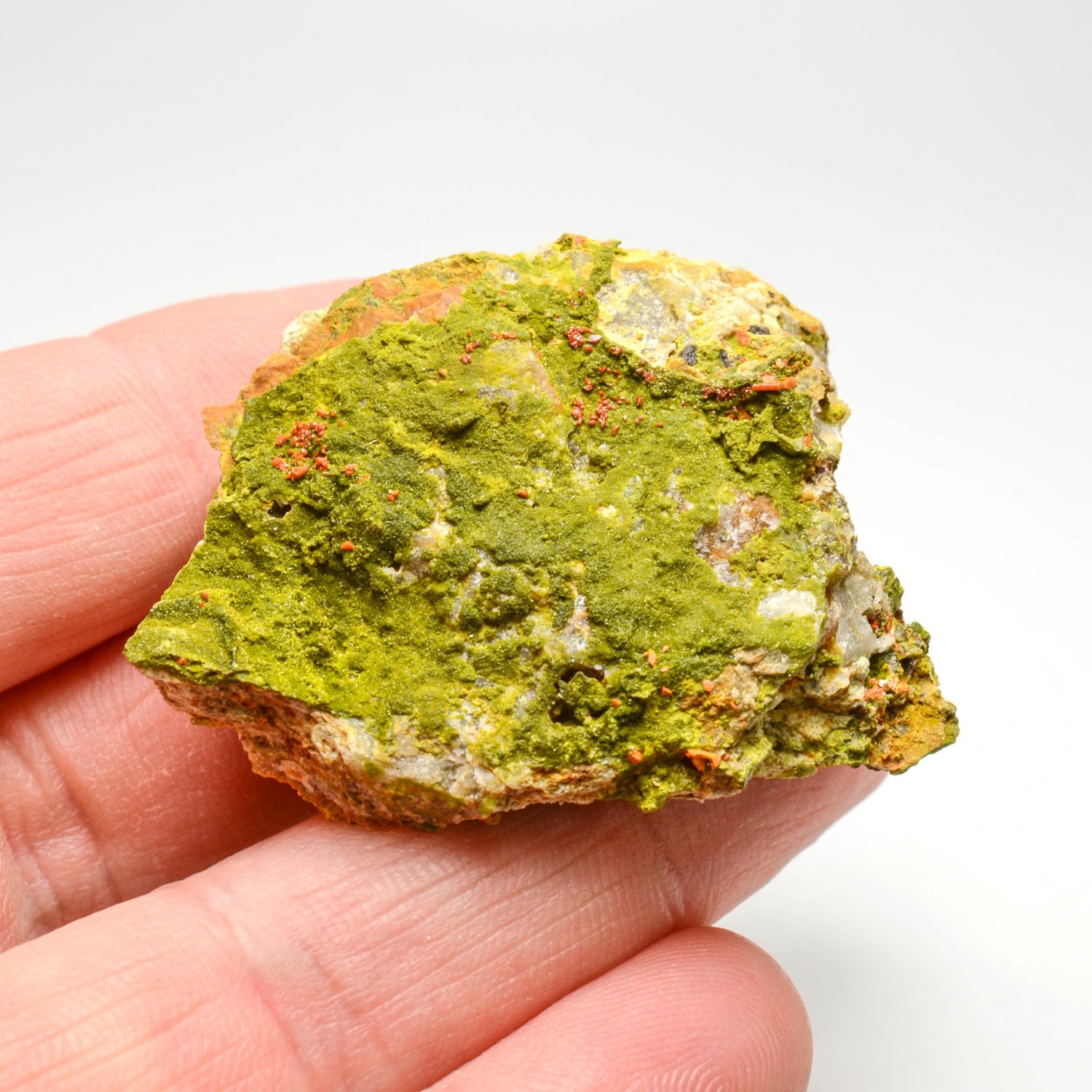 Pyromorphite et crocoite - Filon du cantonnier, Nontron, Dordogne, France